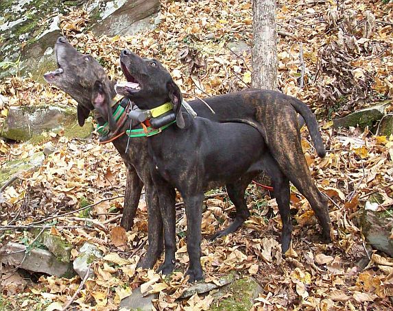 Walker and Hope