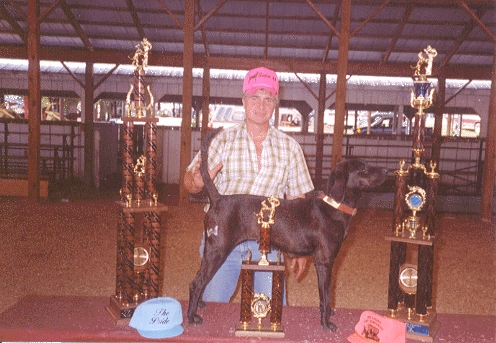 Gr. Nt. Ch. Gr. Ch. Joy - Plott Hall of Fame