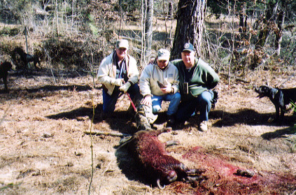Eugene Walker, Steve Goode, and Jay Dorsey with a 2002 hog