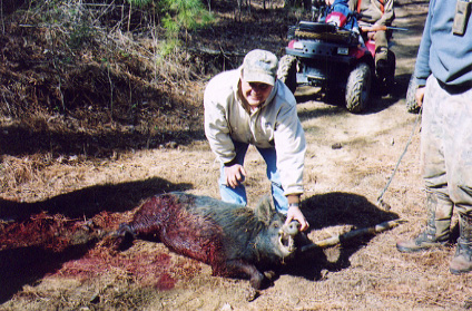 Steve Goode with his 2002 hog