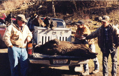 Eugene Walker, Steve Goode, and Randall Morgan with a 1999 bear