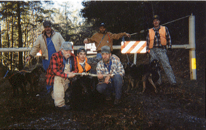 A 1999 bear