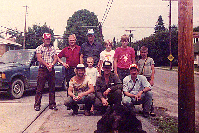 Sheep killing bear