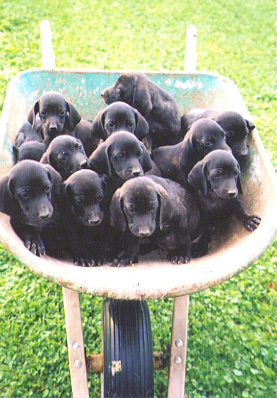 Can we get out now?