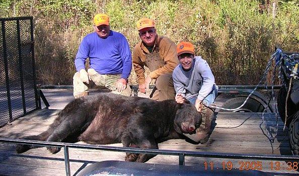 Bear